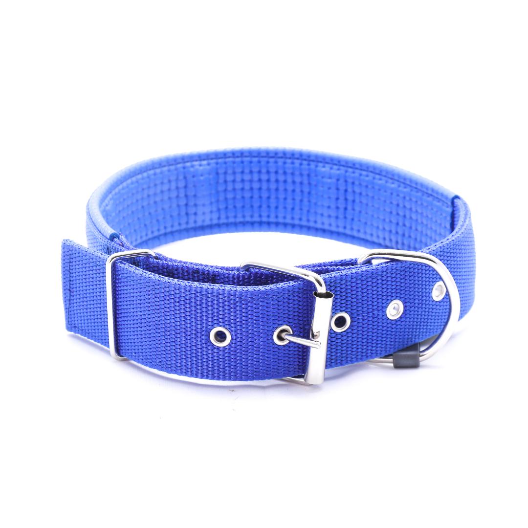 Pet Collar (69Cm) 110005854